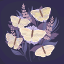 Identification cover